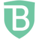 Logo BrandShield Systems