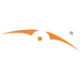 Logo Alvarion