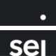 Logo SEI Investment