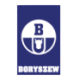 Logo Boryszew SA
