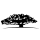 Logo WisdomTree