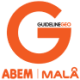 Logo Guideline Geo