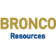 Logo Bronco Resources