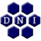 Logo DNI Metals