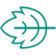 Logo Peppermint Innovation