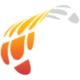 Logo enX Group