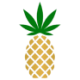 Logo Pineapple