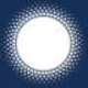 Logo Solis Minerals