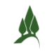 Logo Pinetree Capital
