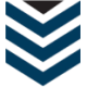 Logo Battalion Oil