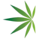 Logo American Cannabis Co