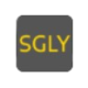 Logo Singularity Future Technology