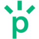 Logo Perk Labs