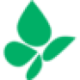 Logo Pieridae Energy