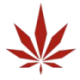 Logo Medmen Enterprises