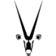 Logo Namibia Critical Metals