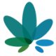 Logo KHIRON LIFE SCIENCES