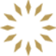 Logo SOL Global Investments