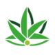 Logo Planetree International Develop.