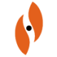 Logo Stereotaxis