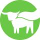 Logo Beyond Meat Inc.
