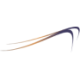 Logo Kala Pharmaceuticals