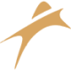 Logo Amneal Pharmaceuticals