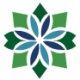 Logo Blueberries Medical