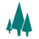 Logo Pine Technology