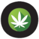Logo WOWI