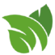 Logo Modern Plant Based Foods
