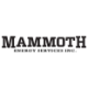 Logo Mammoth Energy Services