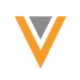 Logo Veeva System