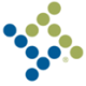 Logo Tyler Technologies