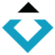 Logo Black Diamond Therapeutics