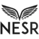 Logo NATIONAL ENERGY SVCS