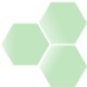 Logo BIOCORRX INC DL-,001