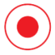 Logo Nippon Carbon