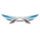 Logo Arcimoto