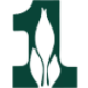 Logo FIRST F.FIN.CORP.DL1