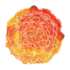 Logo MARYGOLD COMP. DL-,001