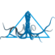 Logo Coda Octopus Group