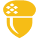 Logo FIRST NAT.FIN. PFD A-2