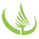 Logo Conifex Timber