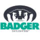 Logo Badger Infrastructure Solutions