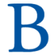Logo BROMPTON SPL.CUM.PFD
