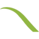 Logo MINT CORP., THE