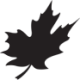 Logo CANADIAN METALS INC.