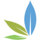 Logo Flower One Holdings