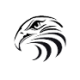 Logo HFX HOLDING CORP.